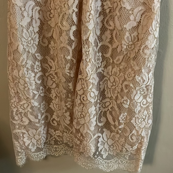 Jenny Yoo Collection Sleeveless Light Pink Lace Mini Bridesmaid Dress 0 - Picture 10 of 16